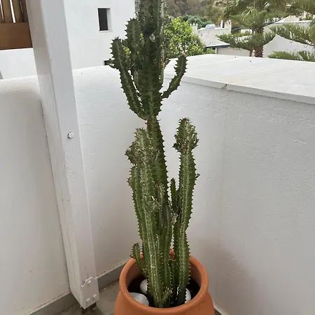 Cavos Paros Veranda, Sea-view Terrace & 2 Bedrooms * Aliki (Paros)